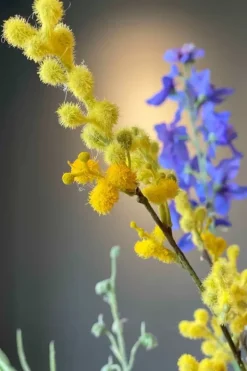 Pip Studio Kunstbloemen<Pip Kunstbloemen Floral Fantasy