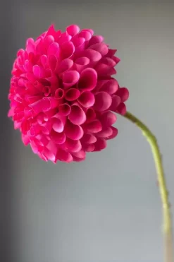 Pip Studio Kunstbloemen<Pip Kunstbloemen Sweet Symphony