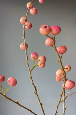 Pip Studio Kunstbloemen<Pip Kunstbloemen Sweet Symphony