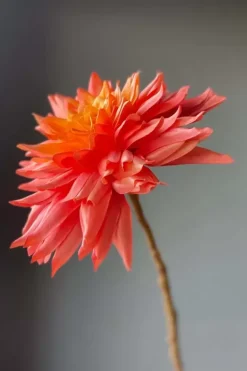 Pip Studio Kunstbloemen<Pip Kunstbloemen Sweet Symphony
