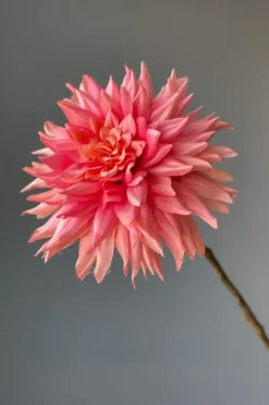 Pip Studio Kunstbloemen<Pip Kunstbloemen Vanilla Bloom
